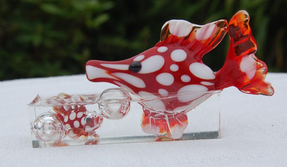 Poisson qui joue à la bulle