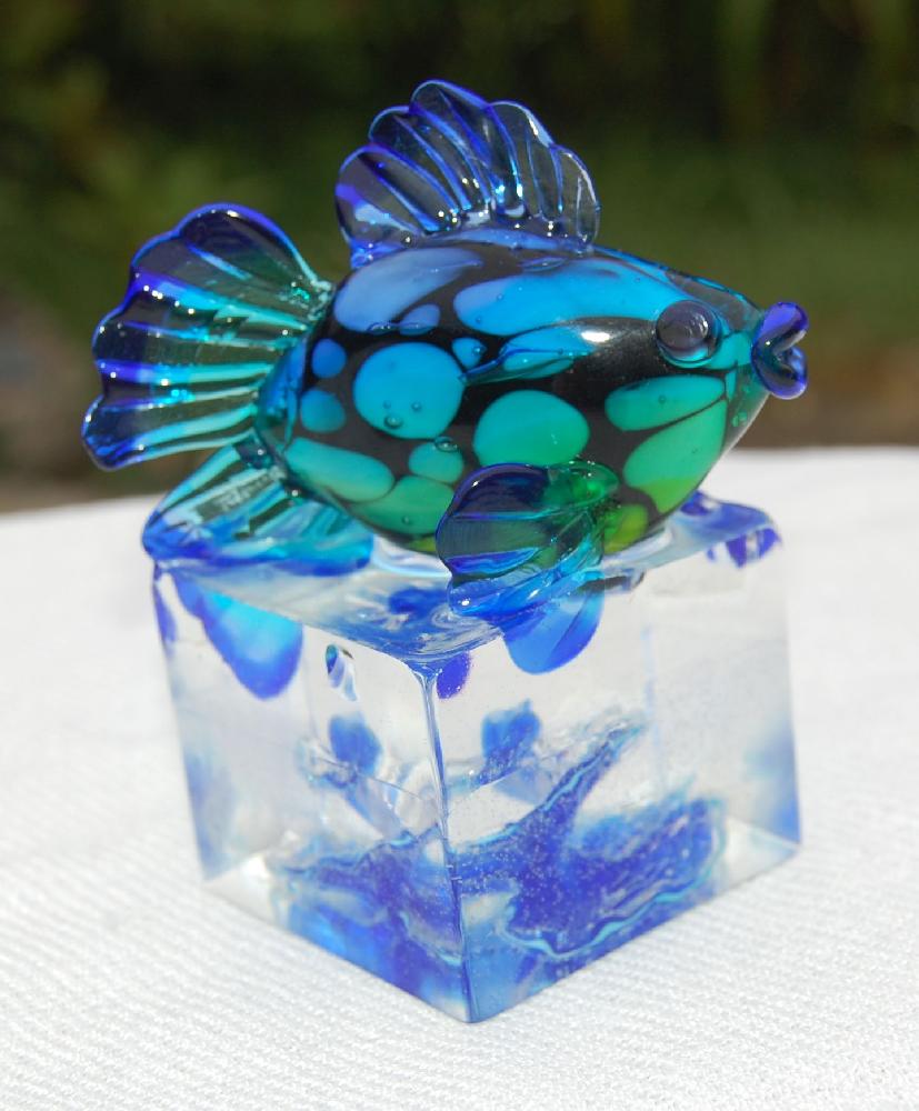 Poisson noir et dégradé vert-bleu