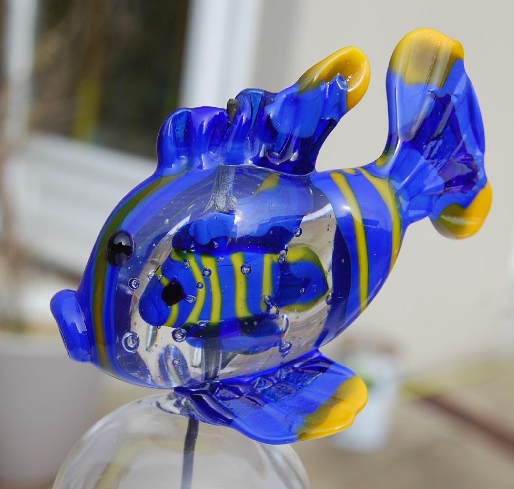 Poisson dans poisson